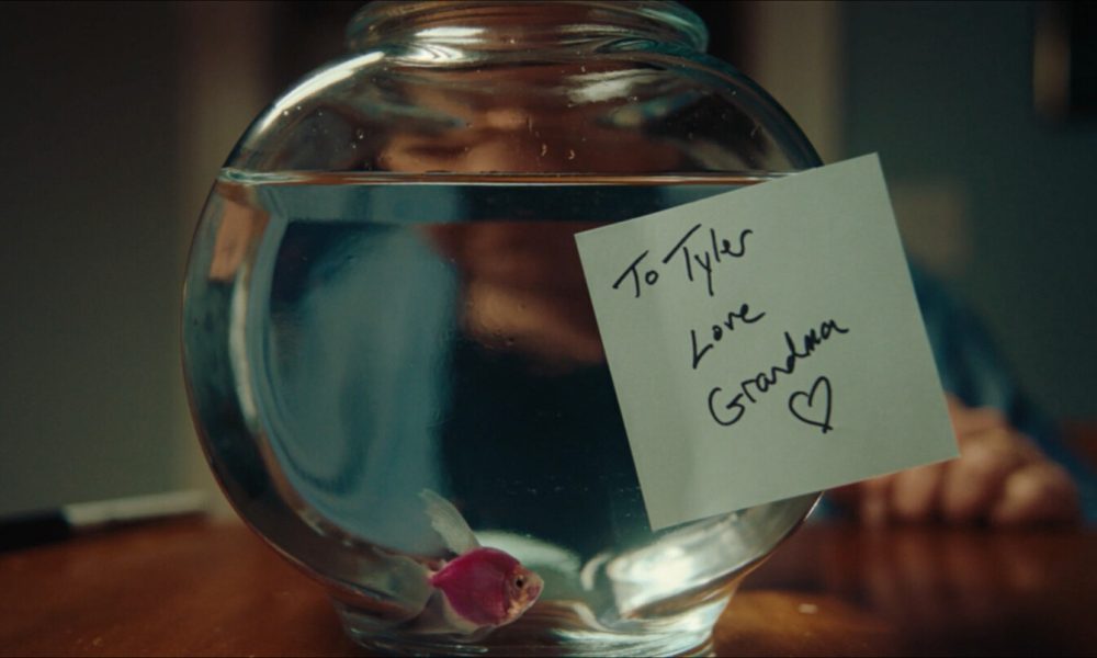 FishOutOfWater_
